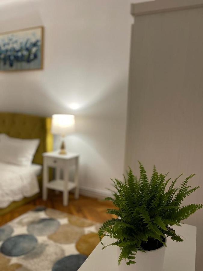 Cityviews Apartment Cluj Exterior photo
